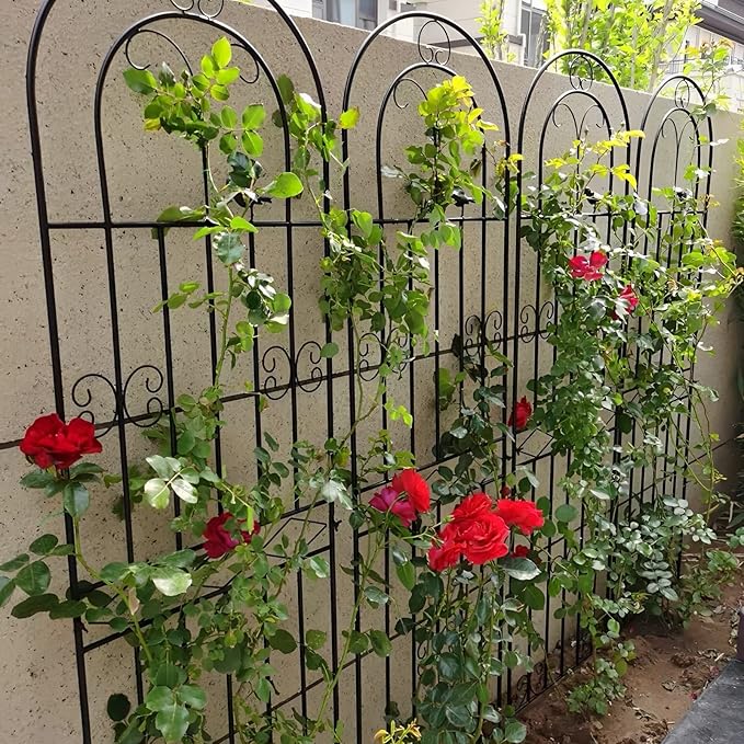 Black Iron Garden Trellis Climbing Plant Trellis Freestanding Metal Fence Screen Plant Trellis Metal Garden Climbing Frame 71x20″ Suitable for All Types of Climbing Plants (Color : Black Size