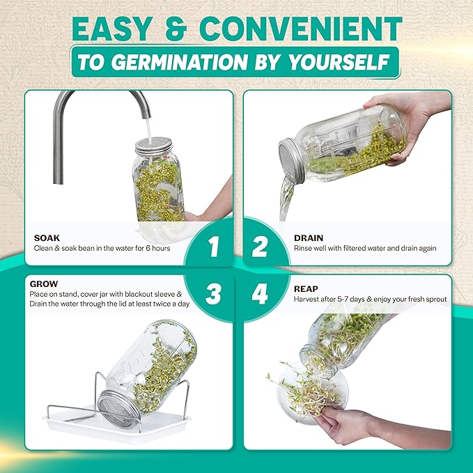 [LARGE SIZE] 2000ml(68oz) Seed Sprouting Mason Jar Kit with StandDrain Tray Screen LidsBlackout SleevesGood Ventilation &amp Drainage CapacityGrowing Fresh Organic Mung BeansBroccoli &amp Micr