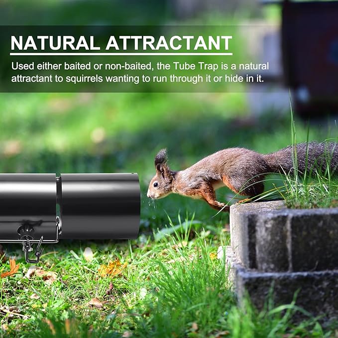 Qualirey Tube Squirrel Trap Rust Resistant Trap 4.5'' in Diameter with a Setting Tongs for Backyards Patios Gardens Safe and Effective Pest Control Commercial and Residential Use(1 Pcs 15 Inch)