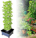 Hydroponic Tower Hydroponic Growth System Vertical Plants Hydroponic Smart Interior Garden Garden Interior Gardening System for Family Kitchen Gardening