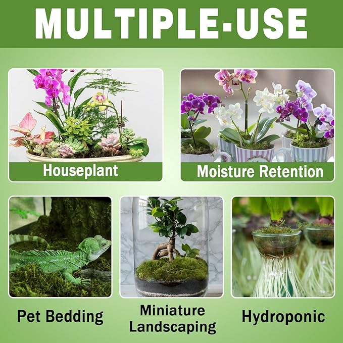 ZeeDix 2-Pack Premium Sphagnum Moss - 2.2 lb Orchid Moss Plant Growing Medium for Terrariums Orchids Carnivorous Succulents &amp Reptile Habitat Substrate