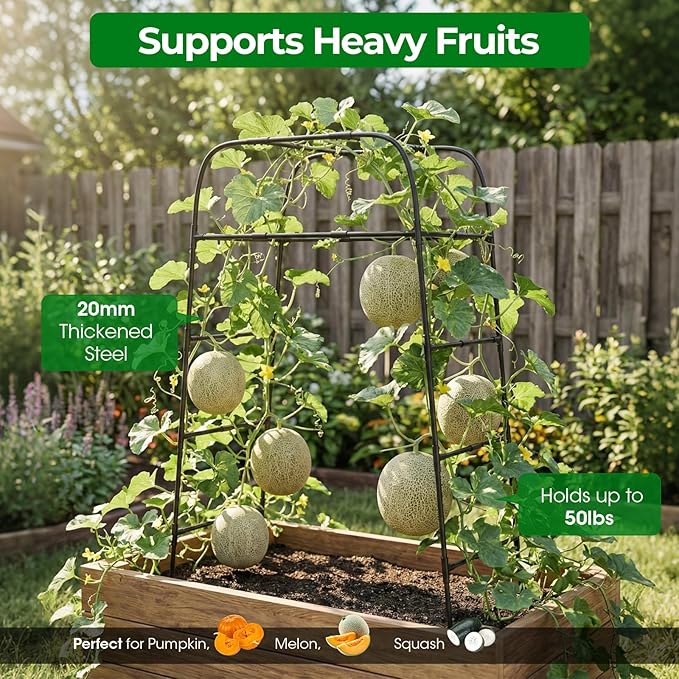 Garden Arch Trellis for Climbing Plants 83 High Metal Cucumber Trellis &amp Tomato Cage Rustproof Steel Tunnel Support for Squash Pumpkin Vegetables with Screw Fixation (32.3 L x 39.4 W)