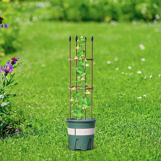 Trellis Climbing Plants 1 PC Thick Plastic-Coated Steel Plant Support Multifunctional Anti-Rust Outdoor Trellis Garden Flower Screen Cucumber Ivy Rose Grape Pea B Lackberry Vine W15*H75CM