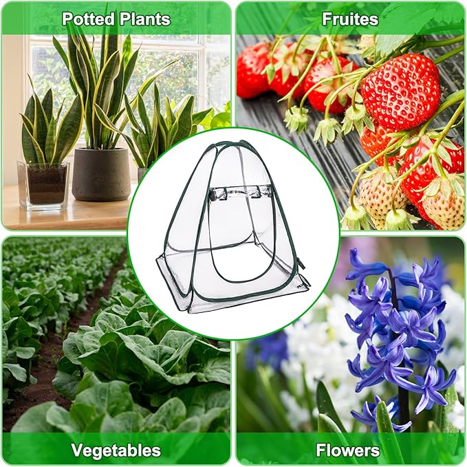2 Pack Pop Up Greenhouse Plant Tent with 8 Ground Nails &amp 2 Carry Bags Roll-Up Door Easy Folding for Storage Creates Warmth for Plants Protection from Cold for Backyard (27.5 x 27.5 x 31.5