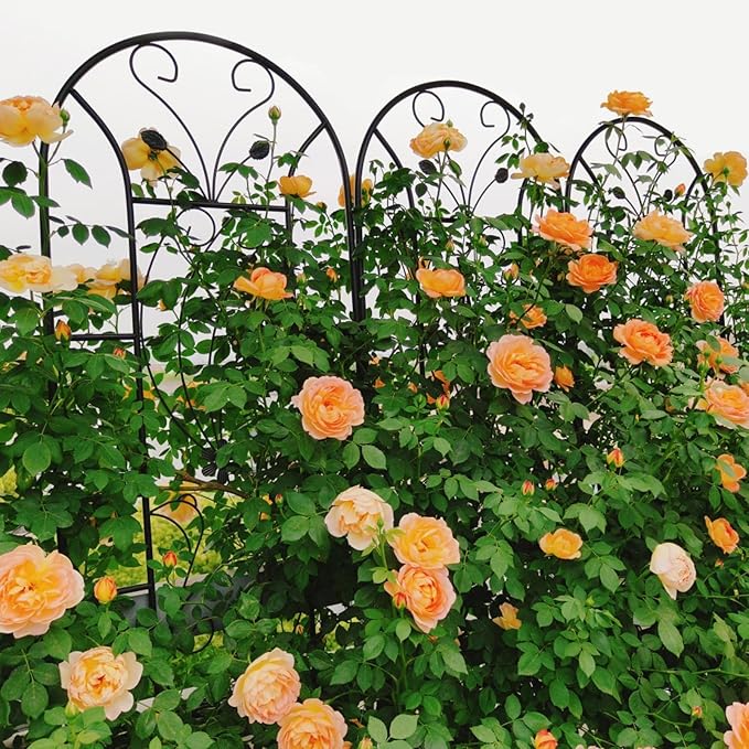 Metal Garden Trellis with Black Metal Coating Rustproof Trellis with Peacock Style Outdoor Lattice Panel for Climbing Plants Roses Tomatoes Vine Vegetables 86.7 x 19.7 (Black 2 Pack)