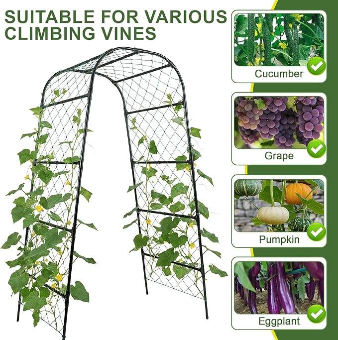 Extra Tall Garden Arch Trellis for Cucumber Heavy-Duty Rust-Resistant Powder-Coated Steel Vertical Support for Large Vining Vegetables (47”W x 79”H)