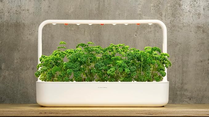 Click and Grow Curly Parsley Plant Pods for Smart Garden 9-Pack
