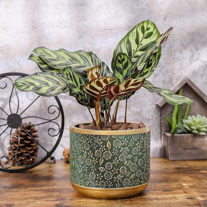 6 +4.4 Inch Cement Planter Decorative Pots with Drainage Hole for All House Plants Succulents Flowers and Cactus (Green)