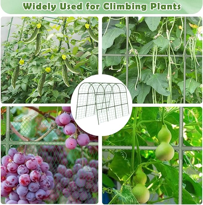 Cucumber Trellis for Raised Bed Large Size Garden Arch Trellis for Climbing Plants Outdoor Metal Garden Trellis for Spring Vegetables Cucumber Trelli for Tomato Bean Pea Grape Plant