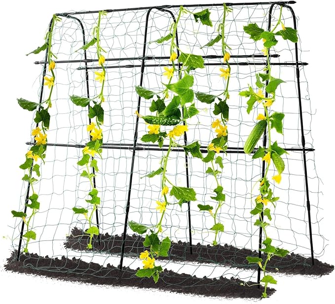 Garden Trellis for Climbing Plants Outdoor Metal Cucumber Trellis Plant Support for Outdoor Vegetables Fruits Flowers Vines Cucumber Trellis Raised Bed with Nylon Netting 63 Hx 63 L Black