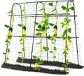 Garden Trellis for Climbing Plants Outdoor Metal Cucumber Trellis Plant Support for Outdoor Vegetables Fruits Flowers Vines Cucumber Trellis Raised Bed with Nylon Netting 63 Hx 63 L Black