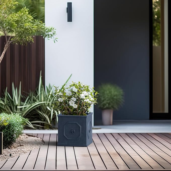 Kante Square Lion Head Concrete Planter Classic English Style Plant Pot with Drainage Hole and Rubber Plug for Indoor Outdoor Garden Patio Home 10.2x10.2x 10.2Gravel Gray