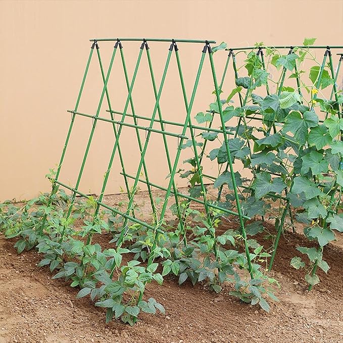 Cucumber Trellis Plant Support Sticks Easy Assembly Disassembly Garden Trellis Plant Stakes for Raised Bed Vines Squash Grape 60 cmx60 cm