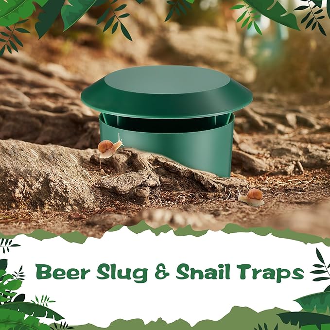 Qualirey 20 Pcs Beer Slug Snail Traps 3.86 x 4.41 Inch Plastic Snail Trapper Reusable Snails Catcher Slug House for Garden Farm