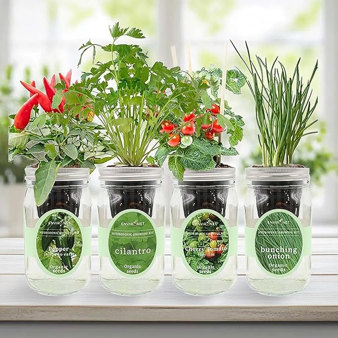 Hydroponic Mason Jar Indoor Garden Organic Seed Starter Kits - Zesty Salsa Growing Kits Gardening Gift (Jalapeno Pepper Cilantro Cherry Tomato - Tiny Tim Bunching Onion)