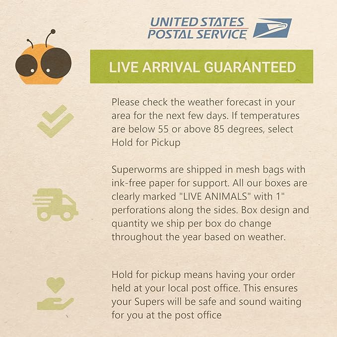Live Superworms - 250 Large 1.75- 2+ - Live Arrival Guaranteed (Hold for Pickup)