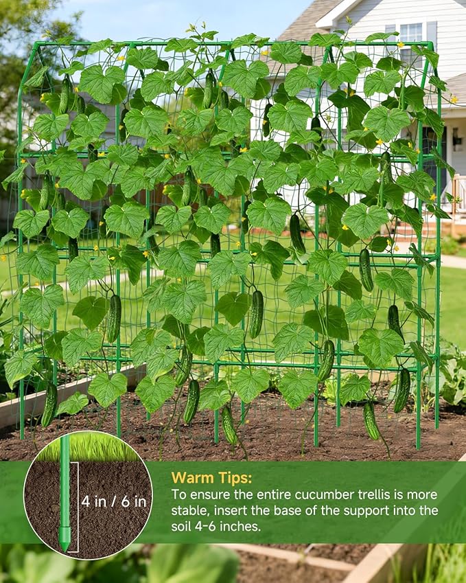Cucumber Trellis for Climbing Plants Outdoor A-Shape Garden Trellis for Raised Bed Metal Plant Trellis with Garden Netting for Flower Vegetables Pea Grape (67 * 17.7 * 65inch(L*W*H))