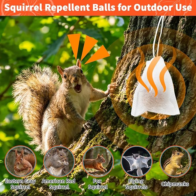 Squirrel Repellent Balls 10 Pack Natural Plant-Based Formula Long-Lasting Outdoor Animal Deterrent Repel Skunk Chipmunk &amp Raccoon for Yard Garden Attic &amp Car Engine