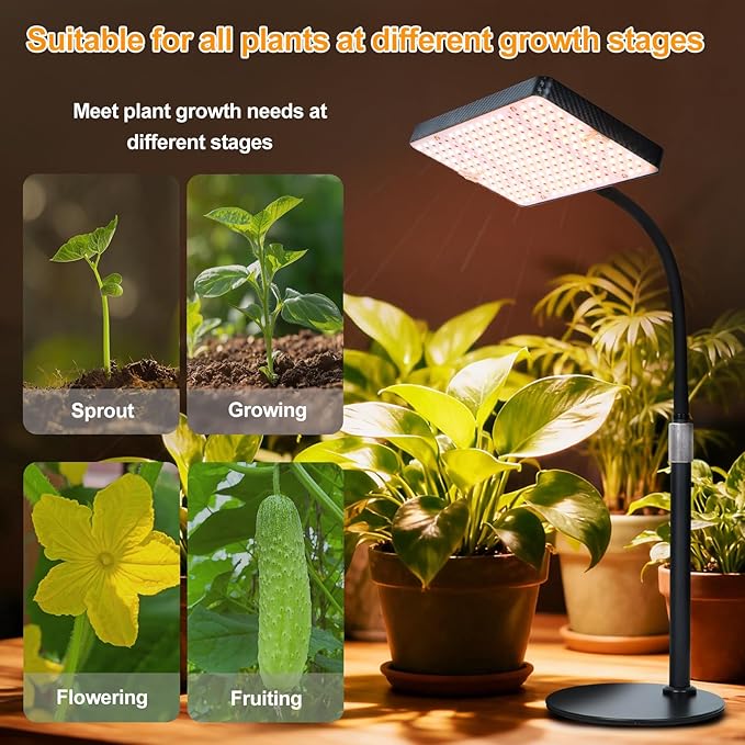 2026 Desk Grow Light Bright Full Spectrum Grow Lights for Indoor Plants Bonsai Seed Starting 4/8/12/16/20H Timer 25 Watt Power Draw NO Need Adapter 16-24 Height Adjustable