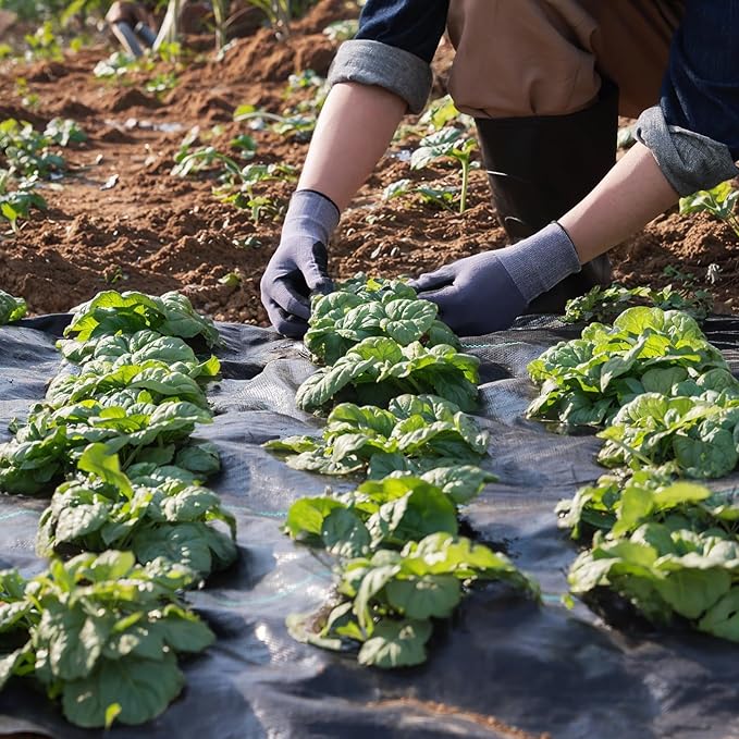 70g/2.46oz Weed Barrier Landscape Fabric Premium Heavy Duty Garden Cloth Ground Cover for Gardening Farming with 30 U-Shaped Securing Pegs0.31-9.84ft328/626FT(0.5m*200m(1.64FTx656FT))