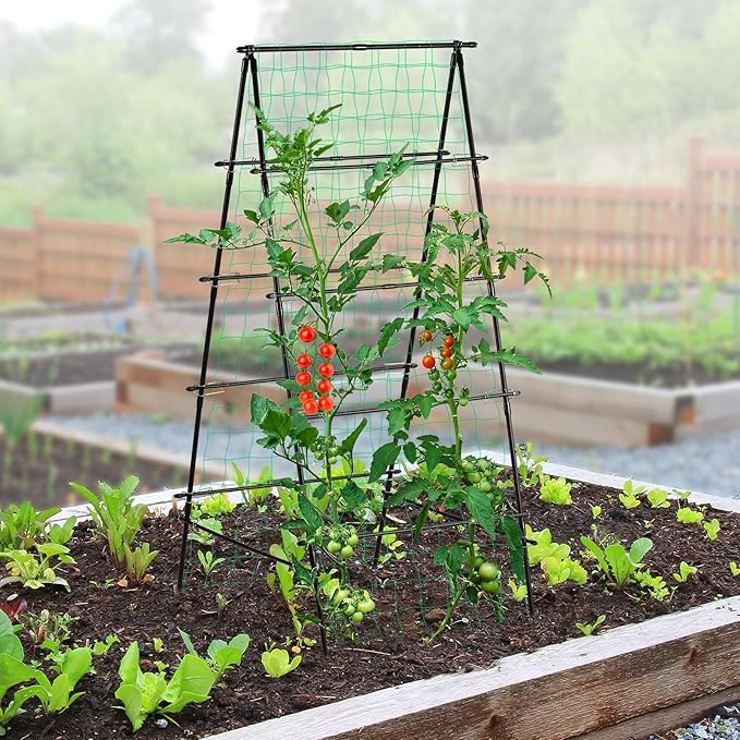 Garden Trellis for Climbing Plants 71 H x 32 W Metal A-Frame Cucumber Trellis Outdoor Fruits Watermelon Plants Vegetable Tomato Squash Peas Beans with Netting Black
