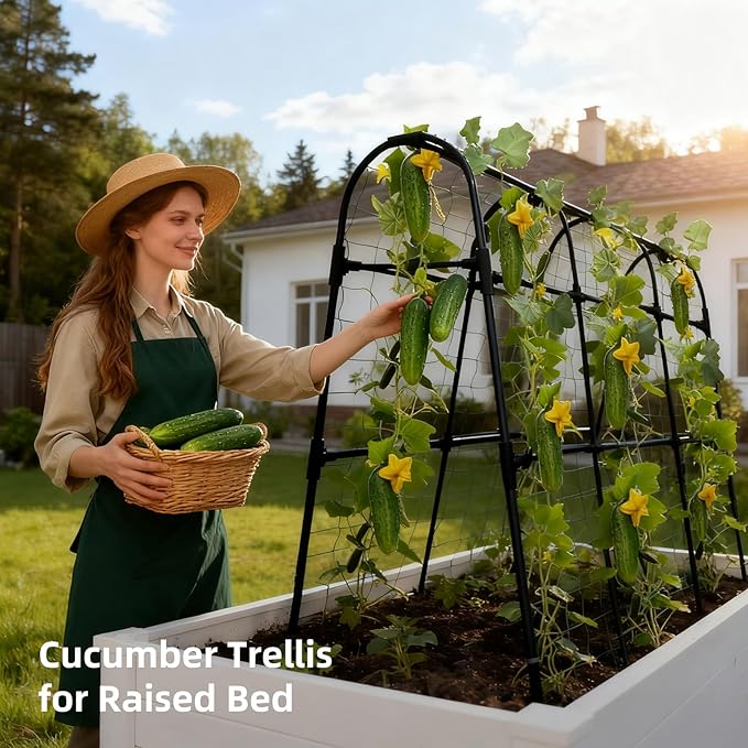 Cucumber Trellis for Raised Bed U-Shape Garden Arch Metal Support for Climbing Plants Metal Arch Plant Support Vegetables Trellis Plant Support for Vine Outdoor (Black 47*30*47inch(L*W*H))