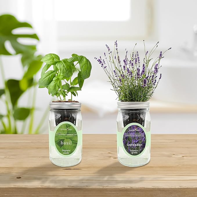 2-Pack Hydroponic Mason Jar Herb Garden Kit Indoor Herb Garden Self-Watering Starter Kit (BasilLavender)