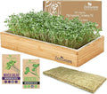 ZESTIGREENS Organic Self-Watering Microgreens Growing Kit – Reusable Indoor Grow Tray with Organic Seeds Grow Mats &amp Bamboo Frame – Easy No-Soil Microgreens Starter Kit (Broccoli &amp Salad Mix)