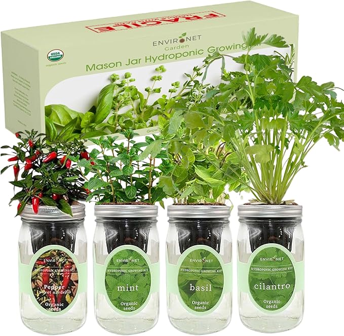 Hydroponic Mason Jar Indoor Garden Organic Seed Starter Kits - Taste of Asia Garden Growing Kits Gardening Gift (Sweet Nardello Pepper Mint Thai Basil Cilantro)