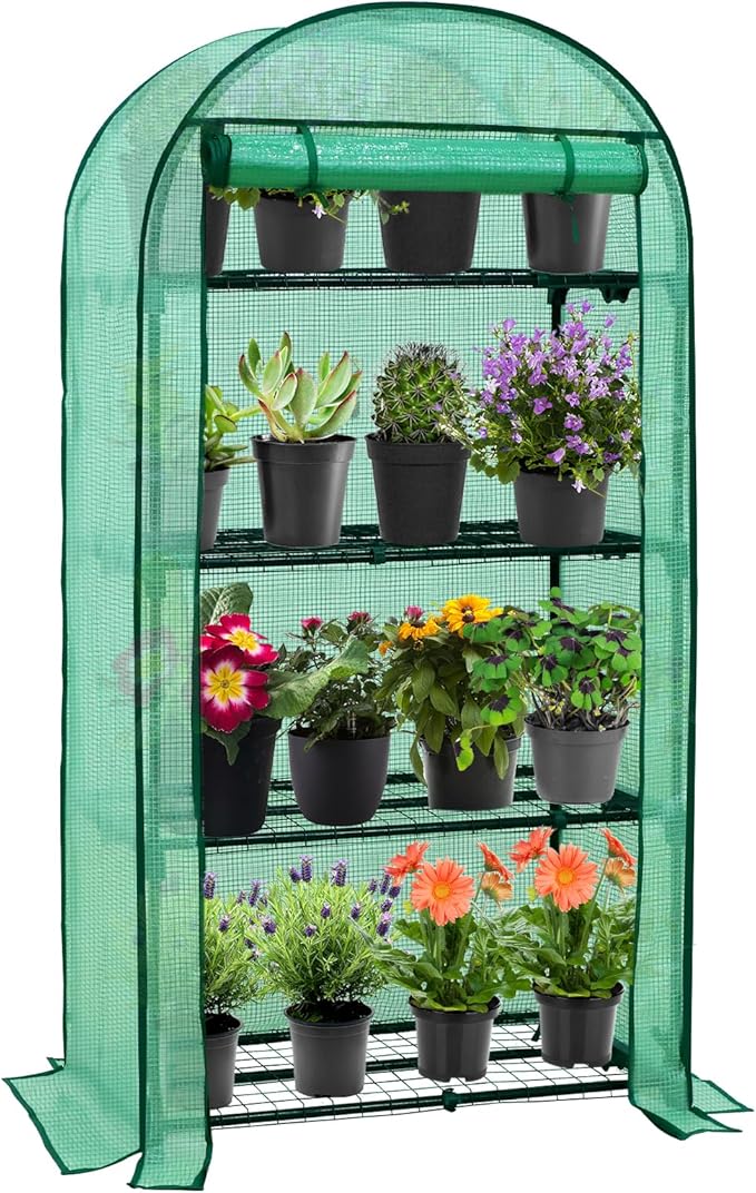 EAGLE PEAK 4-Tier Mini Greenhouse Portable Green House with Shelves &amp Weather-Resistant PE Cover Small Greenhouse for Seedlings &amp Gardening Gifts 32x18x63 in Clear/Green