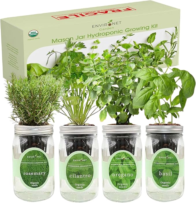 Hydroponic Mason Jar Organic Herb Seed Starter Kits - Mediterranean Herb Mix Growing Kits Windowsill Herb Garden Gardening Gift (Rosemary Cilantro Oregano Basil)