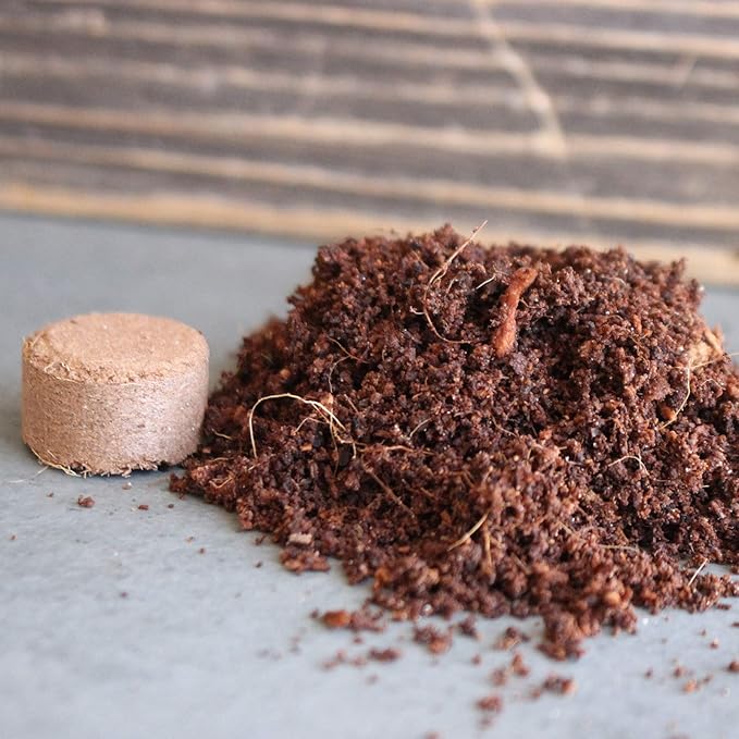 Minute Soil - Compressed Coco Coir Fiber Grow Medium - 20 MM Pellets - Bag of 100 = 5 Quarts of Potting Soil - Indoor Growing: House Plants Herbs Microgreens Just Add Water - Peat Free - OMRI