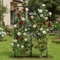SUNYRISY 2Pack Metal Garden Trellis for Climbing Plants Outdoor 71x20in Metal Plant Support for Flowers Tomato Cucumber Rose Vegetable Garden Courtyards Lawns Decoration