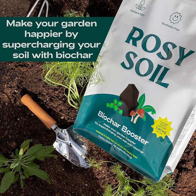 Rosy Soil Biochar Booster 8qt + Cactus &amp Succulent Potting Mix 4qt Organic Indoor Living Soil Bundle - Peat-Free Fast Draining Mix with Mycorrhizae Worm Castings &amp Biochar for Healthy Root G