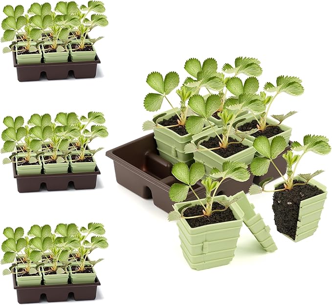 Side-Open Seed Starter Tray 4-Pack 24 Cells Modular Design with Detachable Plant Cells Extra-Large 2.36x2.28 Cells Reusable Seed Germination Kit for Indoor &amp Outdoor Gardening