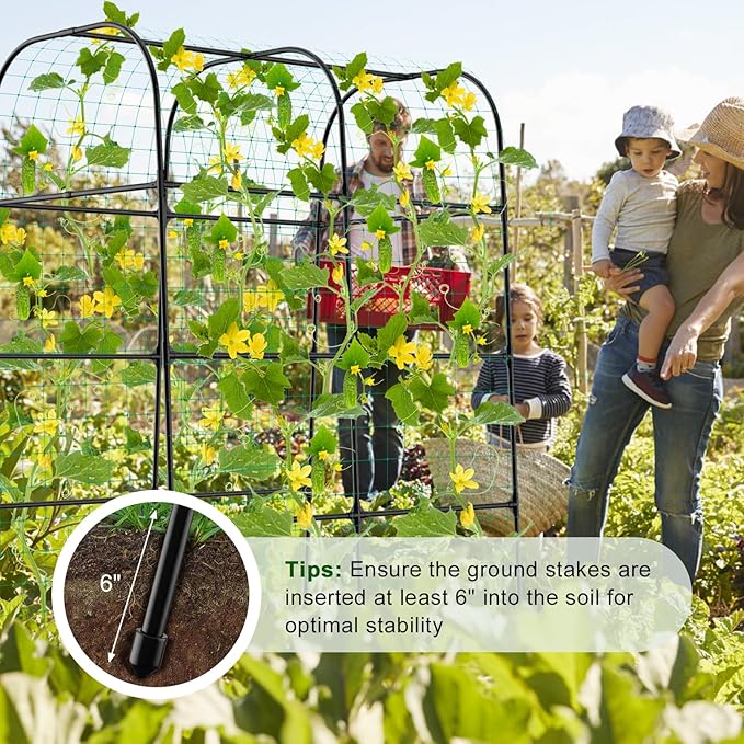 7ft Cucumber Trellis for Raised Bed Garden Arch Trellis for Climbing Plants Outdoor Indoor Metal Trellis Support with Net for Vegetables Tomato Zucchini Squash Beans Peas Melons Rose FlowersVines