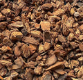 3 Gal. Large Forest Bark 1/2''- 1'' for Bonsai Soil Mix &amp Orchid Seedling - Organic Additive 3GLABARK