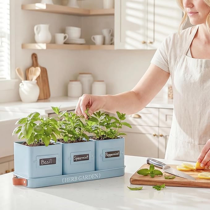 PERFNIQUE Indoor Herb Garden Herb Garden Planter Set with Tray Farmhouse Indoor Plant Pots Windowsill Herb Garden with Drainage(Planter only) for Indoor/Outdoor Window Pots(Sky Blue)