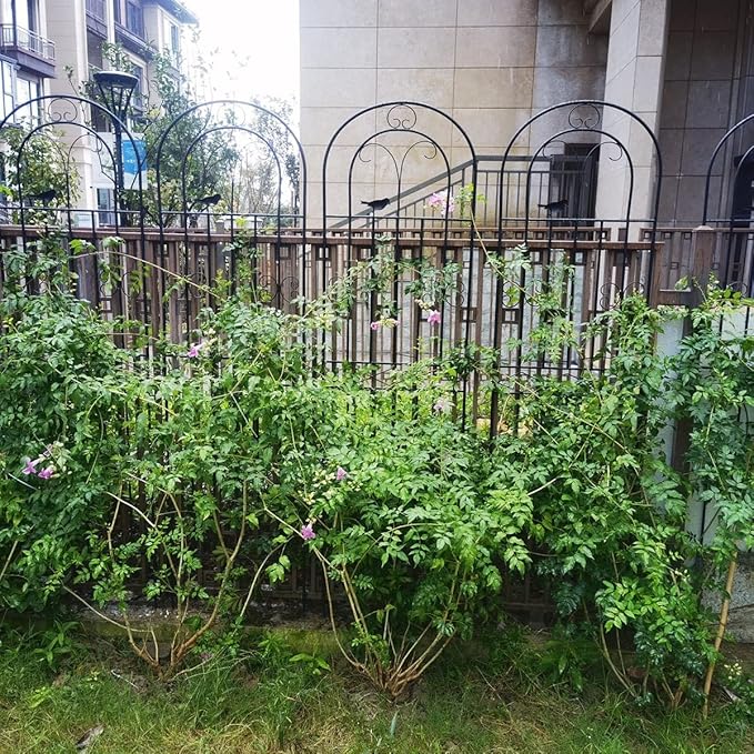 Garden Trellis for Climbing Plants 180cm 200cm. Rustproof Metal Garden Flower Trellis Cucumbers Support Plant Support Netting(180cm(71in)C)