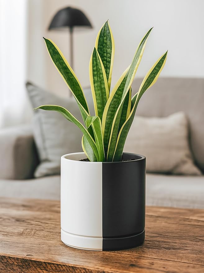 D'vine Dev 8.2 Inch Ceramic Planter Pot with Drainage Hole and Saucer Indoor Cylinder Round Planter Pot Split Monochrome Black &amp White 94-O-D-0