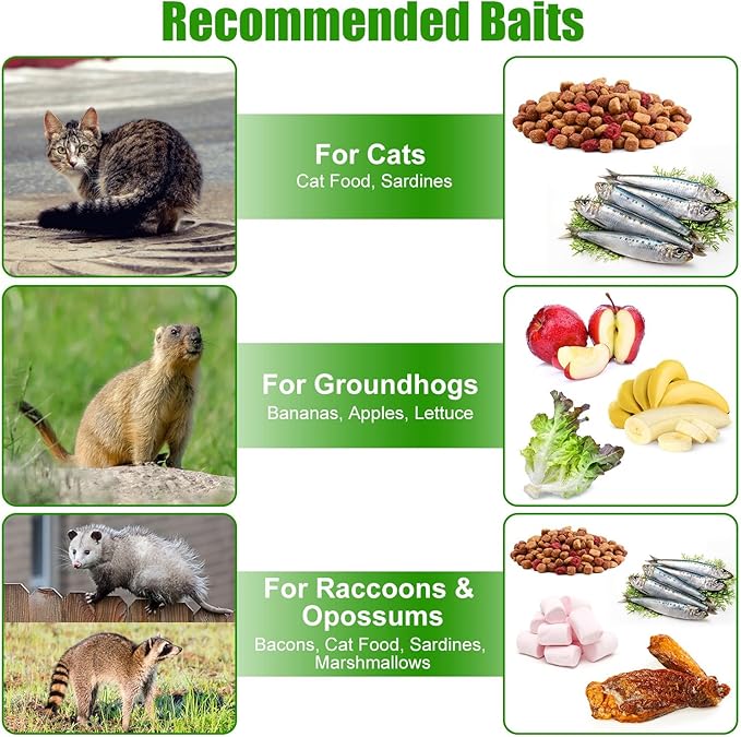 35.43 Live Animal Cage Trap with Gloves Collapsible Heavy Duty Humane Cat Catch Release Rodent Cage Trap Cage for Raccoons Beavers Groundhogs Foxes Armadillos Stray Cat