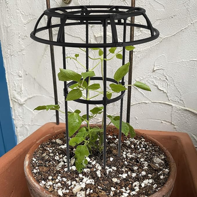 Garden Trellis for Climbing Planter Adjustable Metal Flower Trellis Mushroom Top Trellis for Outdoor Indoor Use Planter Support for Vegetables Roses Vines US(Three LayersBlack)