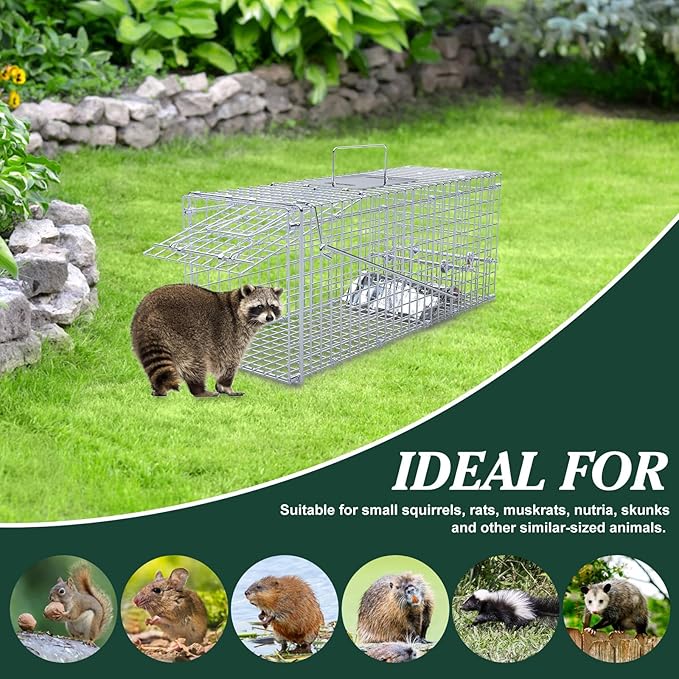 25'' Live Animal Trap Heavy Duty Humane Live Cage for Stray Cats Raccoons Squirrel Skunk Mole Groundhog Armadillo Rabbit Raccoon Trap Catch and Release