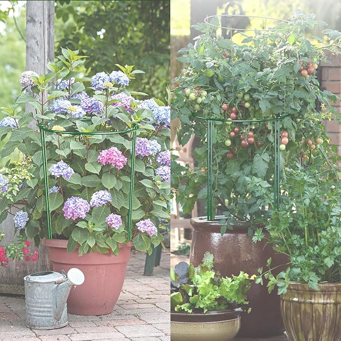 12 Pack 24 inch Plant Support Stakes Half-Round Metal Garden Flower Stakes Large Peony Support Ring and Cage for Indoor and Outdoor Plants Hydrangea Tomato Rose Monstera with Plant Ties