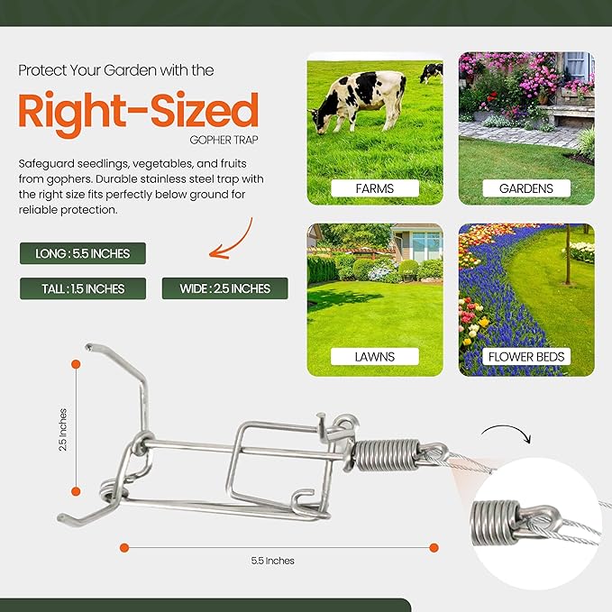 Worlds Best Gopher Trap New Stainless Steel USA Made! (12)