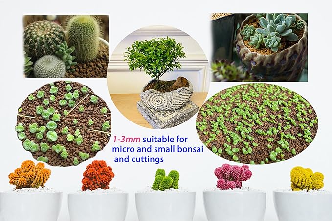 Japanese Super Hard Akadama Bonsai Soil - Extra Small Grain (2-4mm) 6 lb (3.6 QT) | Premium Volcanic Clay Medium for Cuttings Seedling Cultivation &amp Fine-Rooted Bonsai