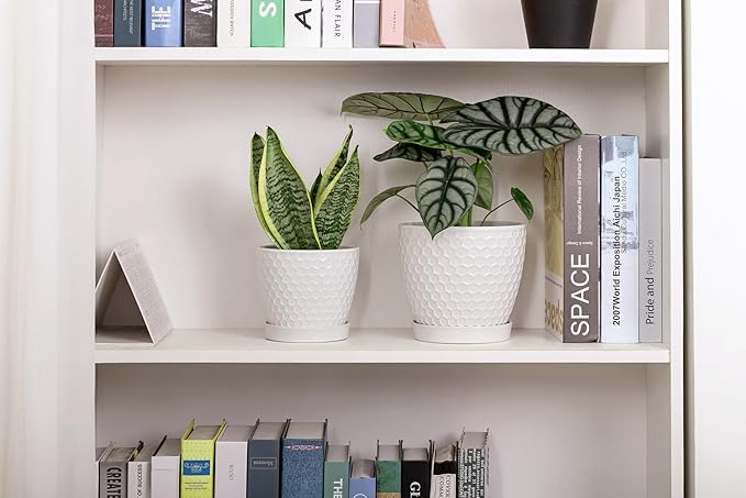 Docrin Ceramic Plant Pots Set of 2 (6.6+5.5) High-Fired Clay Indoor Planters with Drainage Holes &amp Saucer Honeycomb Modern Home Decor for All House Plants