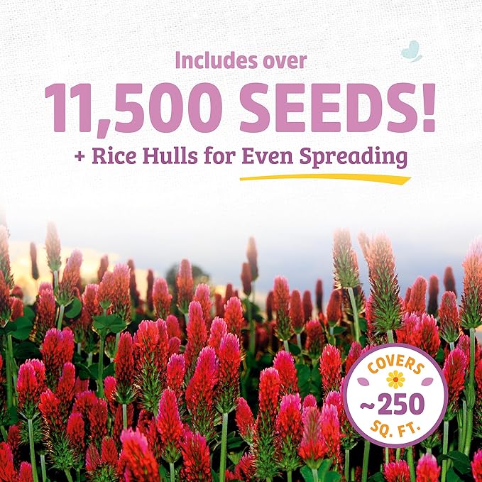 Back to The Roots 100% Organic Crimson Clover Cover Crop Seeds Covers ~1000 sq. ft.