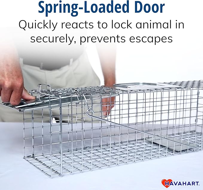 Havahart Medium 1-Door Humane Catch and Release Animal Trap for Rabbit Skunk Mink and Squirrel - Professional Style Live Catch Trap - 1078SR - Humane Capture and Release