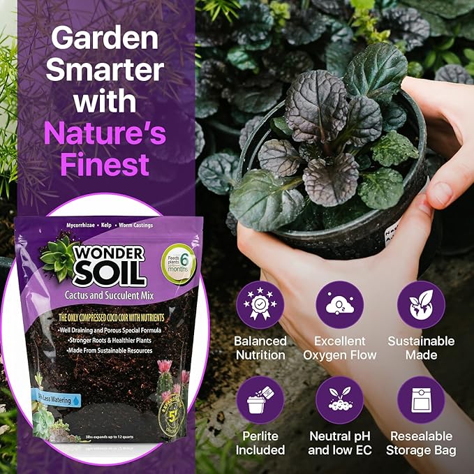 WONDER SOIL | Organic Cactus &amp Succulent Soil Mix (12 Quarts) | Fast Draining Living Coco Coir Loaded w/Nutrients | Ready to Plant Indoor/Outdoor Peat-Free Potting Soil | 3 LB Expands to 12 Quarts